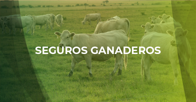 Seguros ganaderos