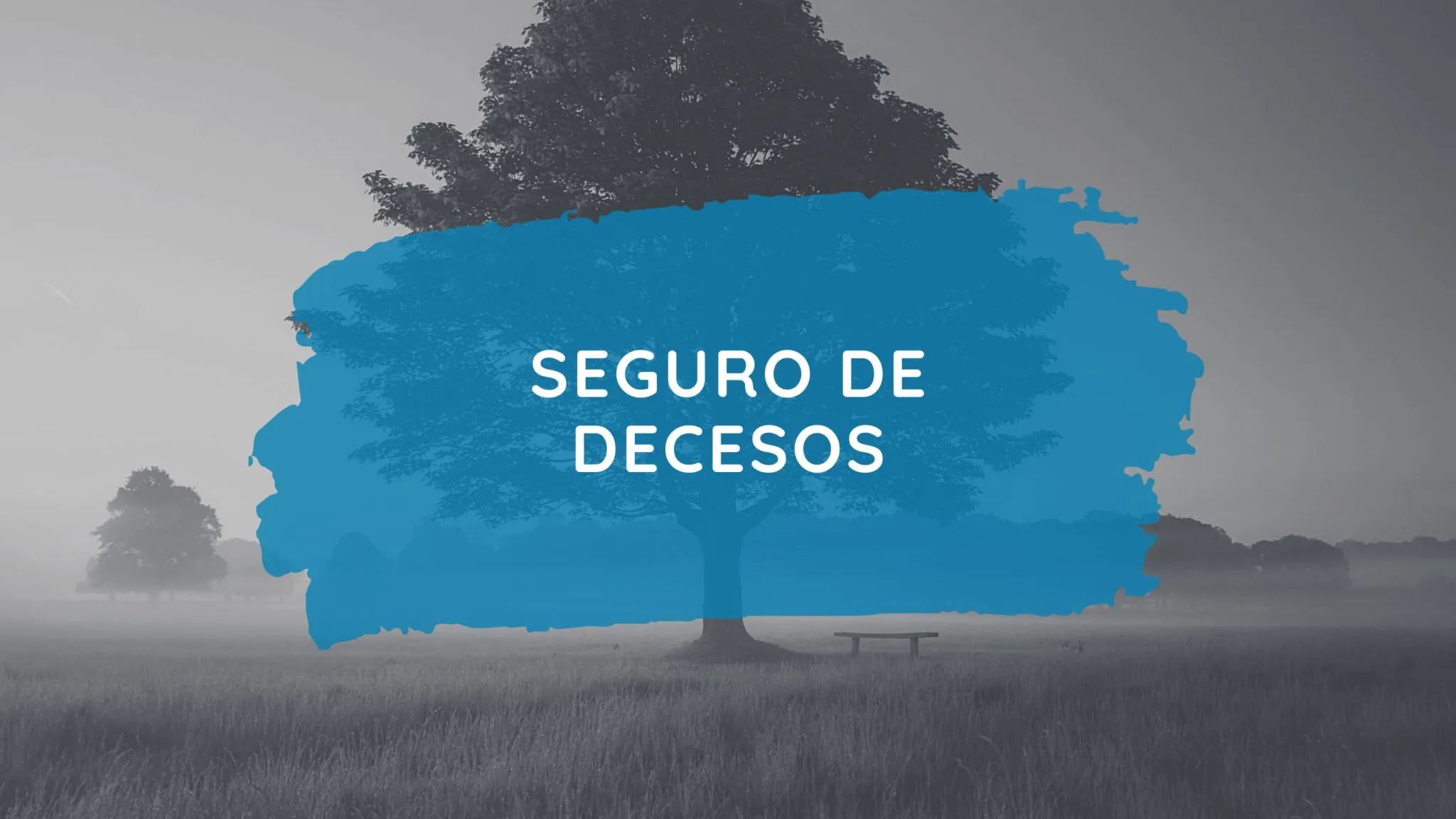 Seguros de decesos en LANDETE